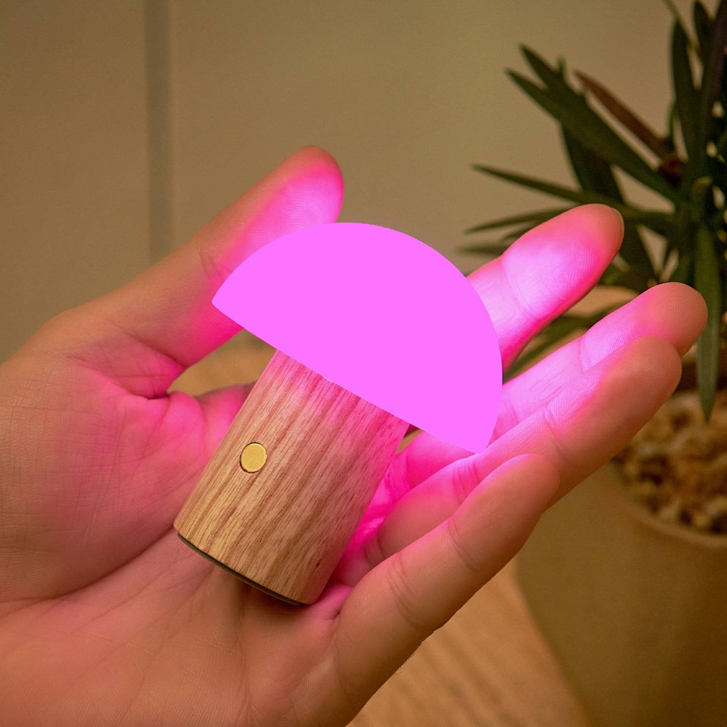 Alice Mushroom Lamp (Super Mini Size): Super Mini /Walnut