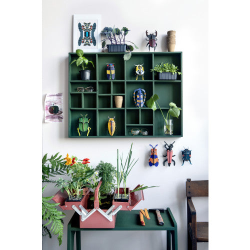 Rosalia Beetle Wall Art