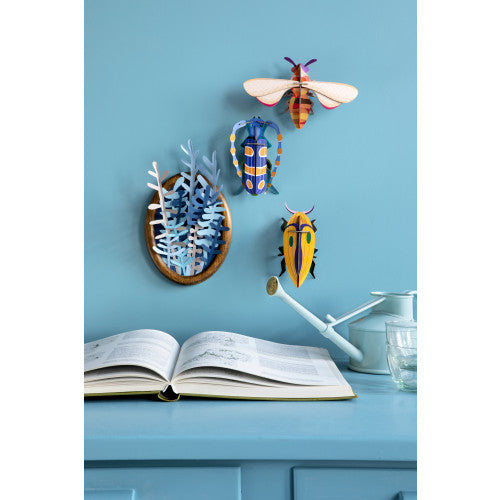 Rosalia Beetle Wall Art