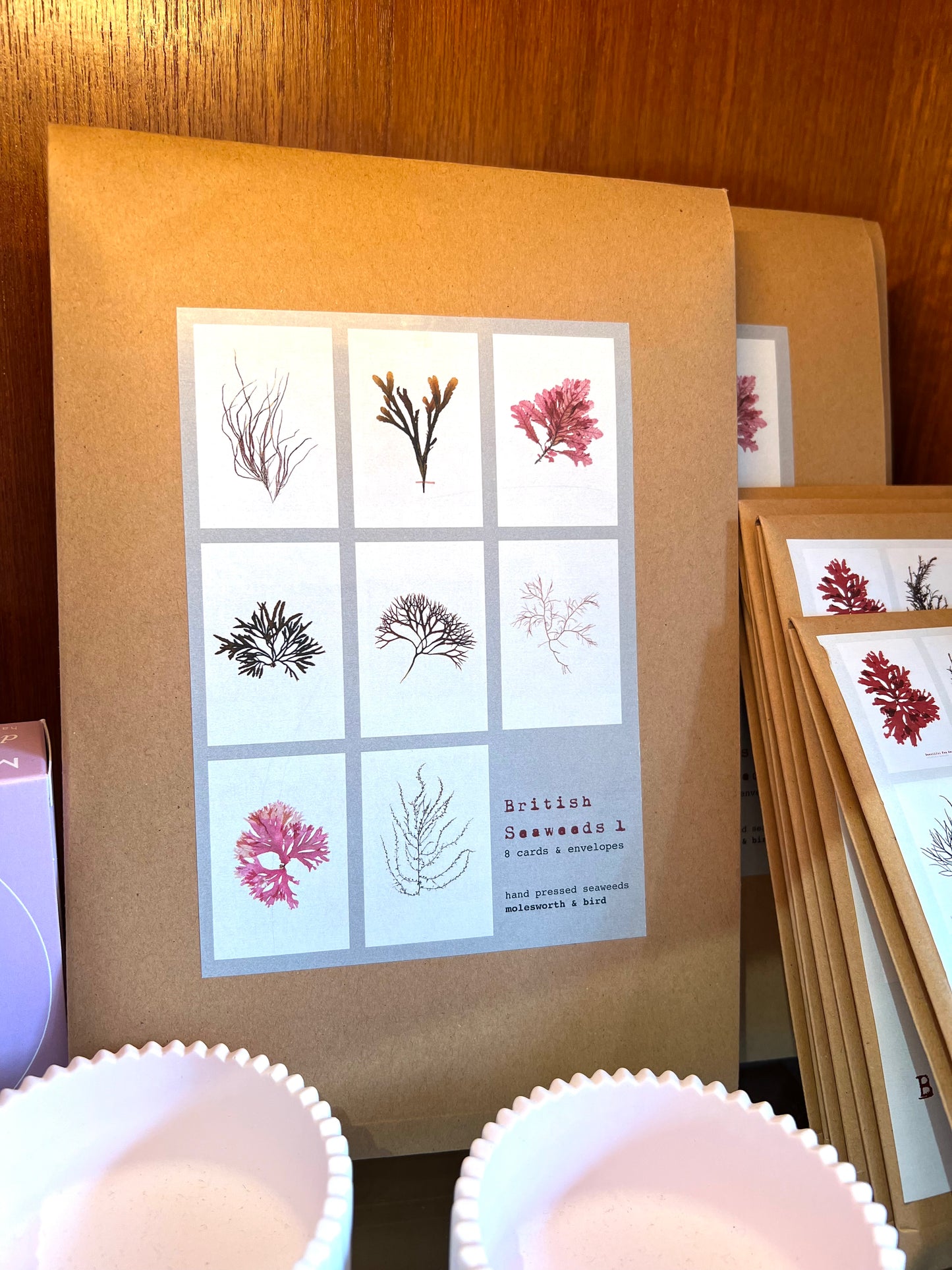 Molesworth & Bird Seaweed Greeting card pack