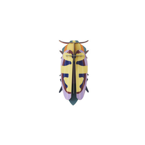 Mango Flower Beetle Wall Art