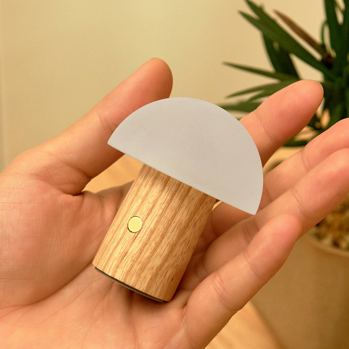 Alice Mushroom Lamp (Super Mini Size): Super Mini /Walnut