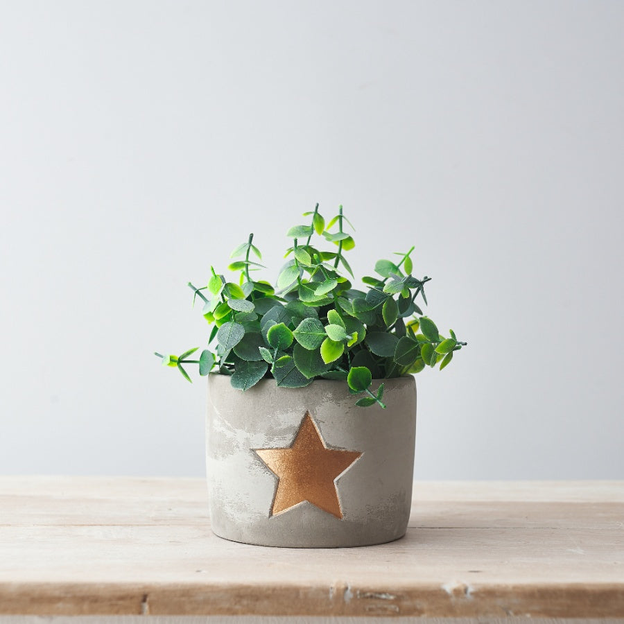 Gold star cement planter 11cm