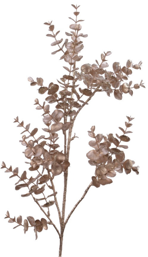 Eucalyptus Spray On Stem