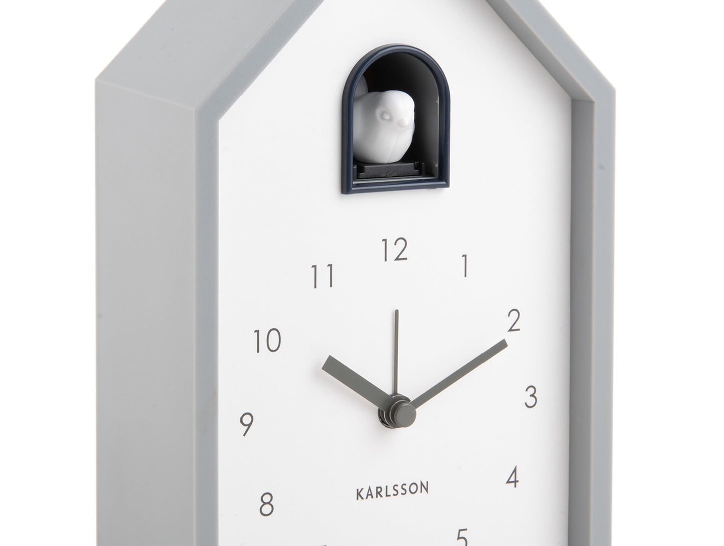 Cuckoo Alarm Clock Various Colours