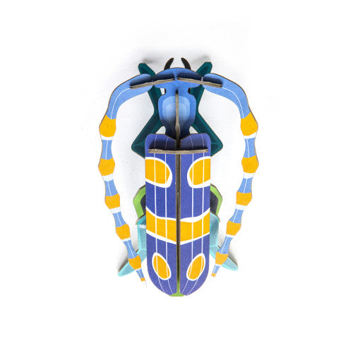 Rosalia Beetle Wall Art