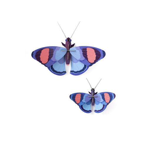 Peacock Butterfly Set