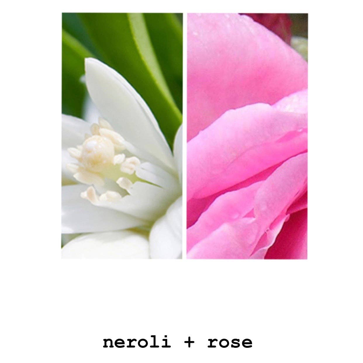 MODM Hand + Body Wash - Neroli + Rose