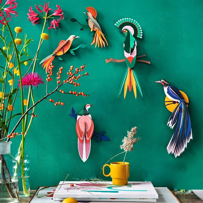 Wall Decor Paradise Bird  - Nias