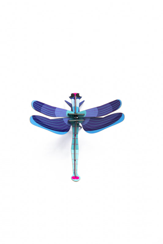 Insect Sapphire Dragonfly