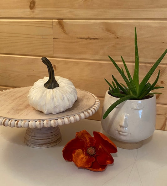 Pumpkin Small Cream Mink Velvet