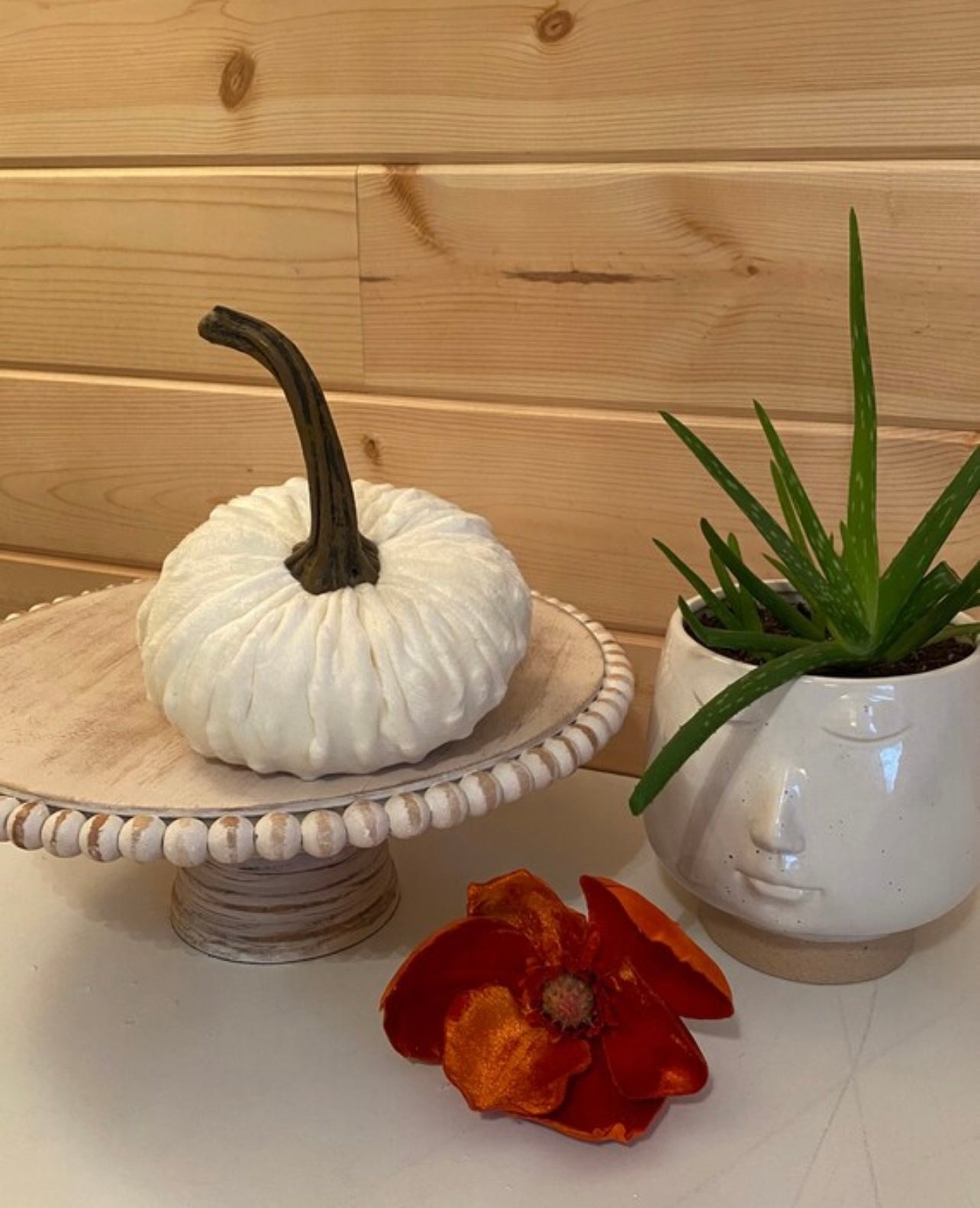 Pumpkin Large Cream Mink Velvet