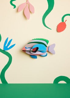 Fairy Wrasse 3D