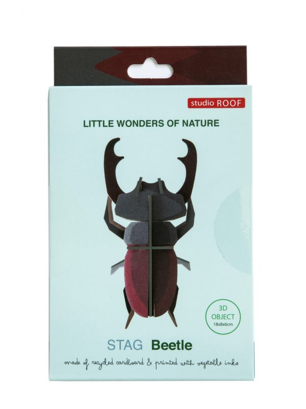 Stag Beetle 3D wall decoration