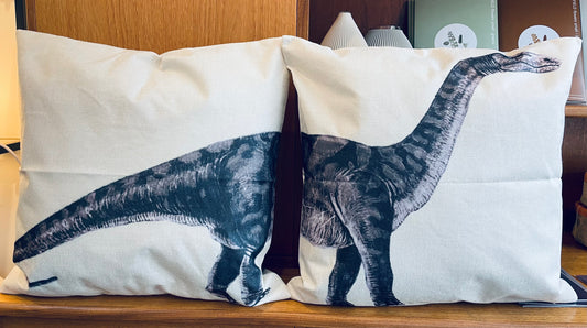 Dinosaur Cushion Set