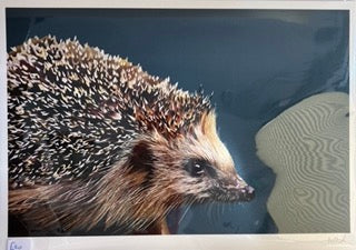 Hedgehog Print in matte Black frame