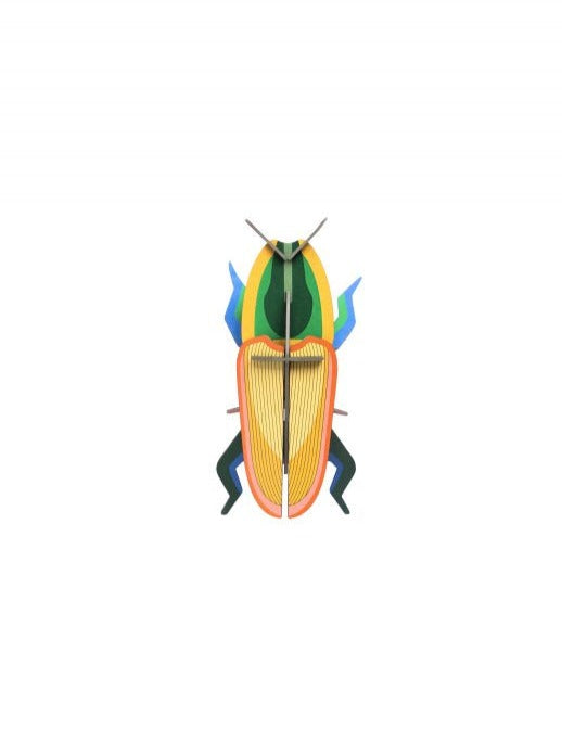 Madagascar Beetle